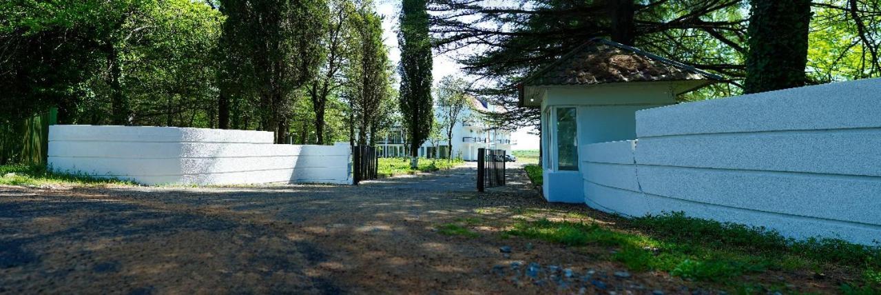 Hotel Tsiskari Ianet'i Zewnętrze zdjęcie