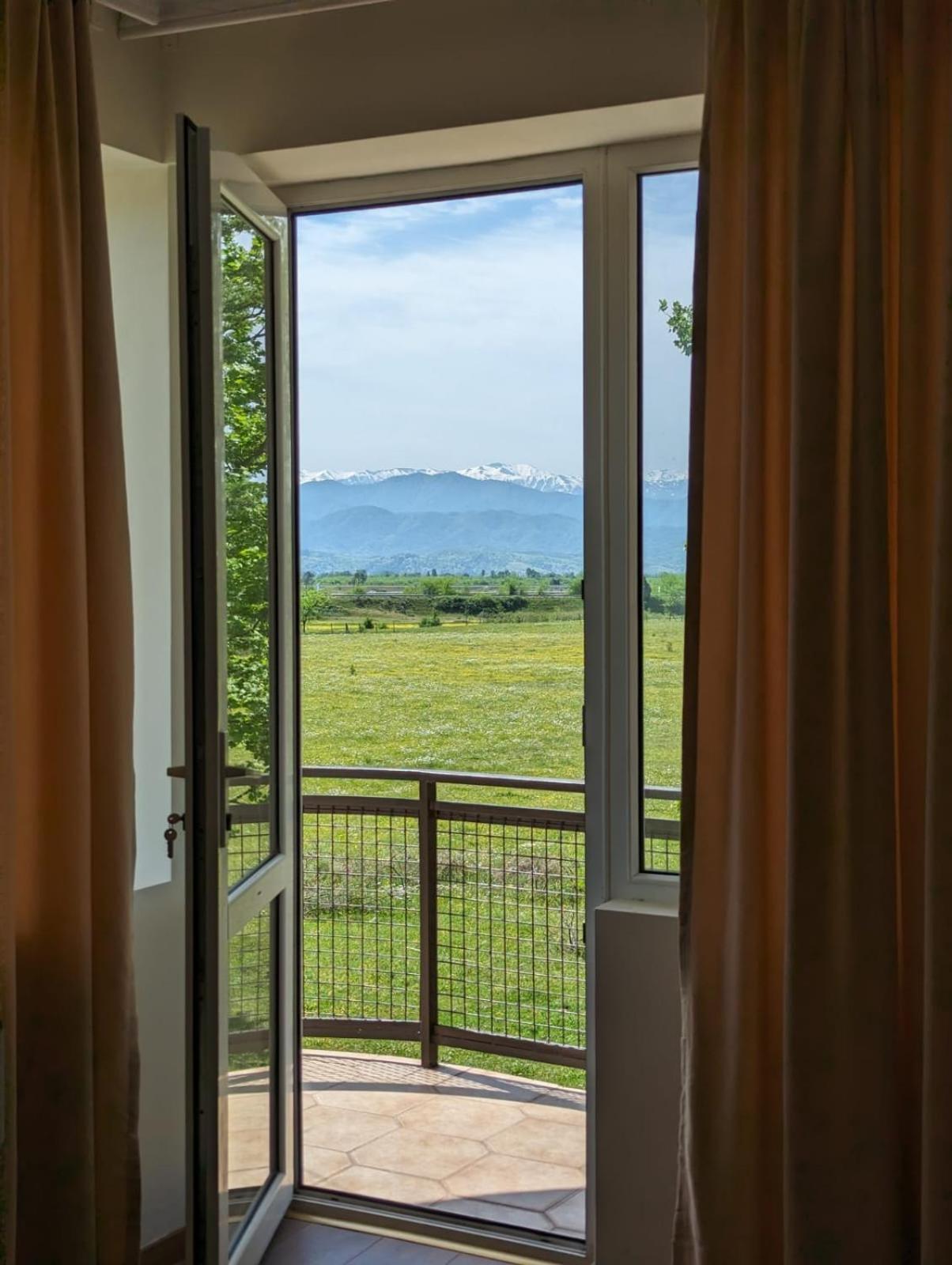 Hotel Tsiskari Ianet'i Zewnętrze zdjęcie