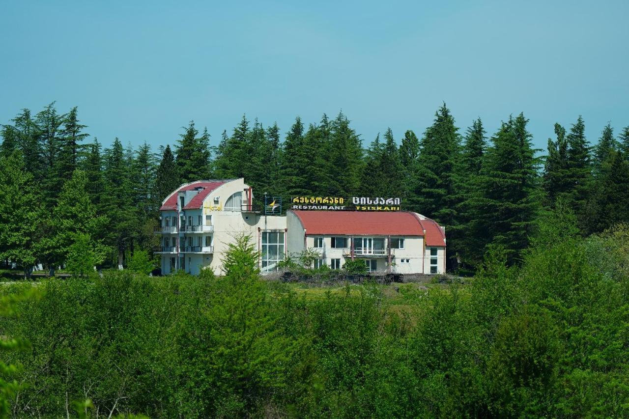 Hotel Tsiskari Ianet'i Zewnętrze zdjęcie