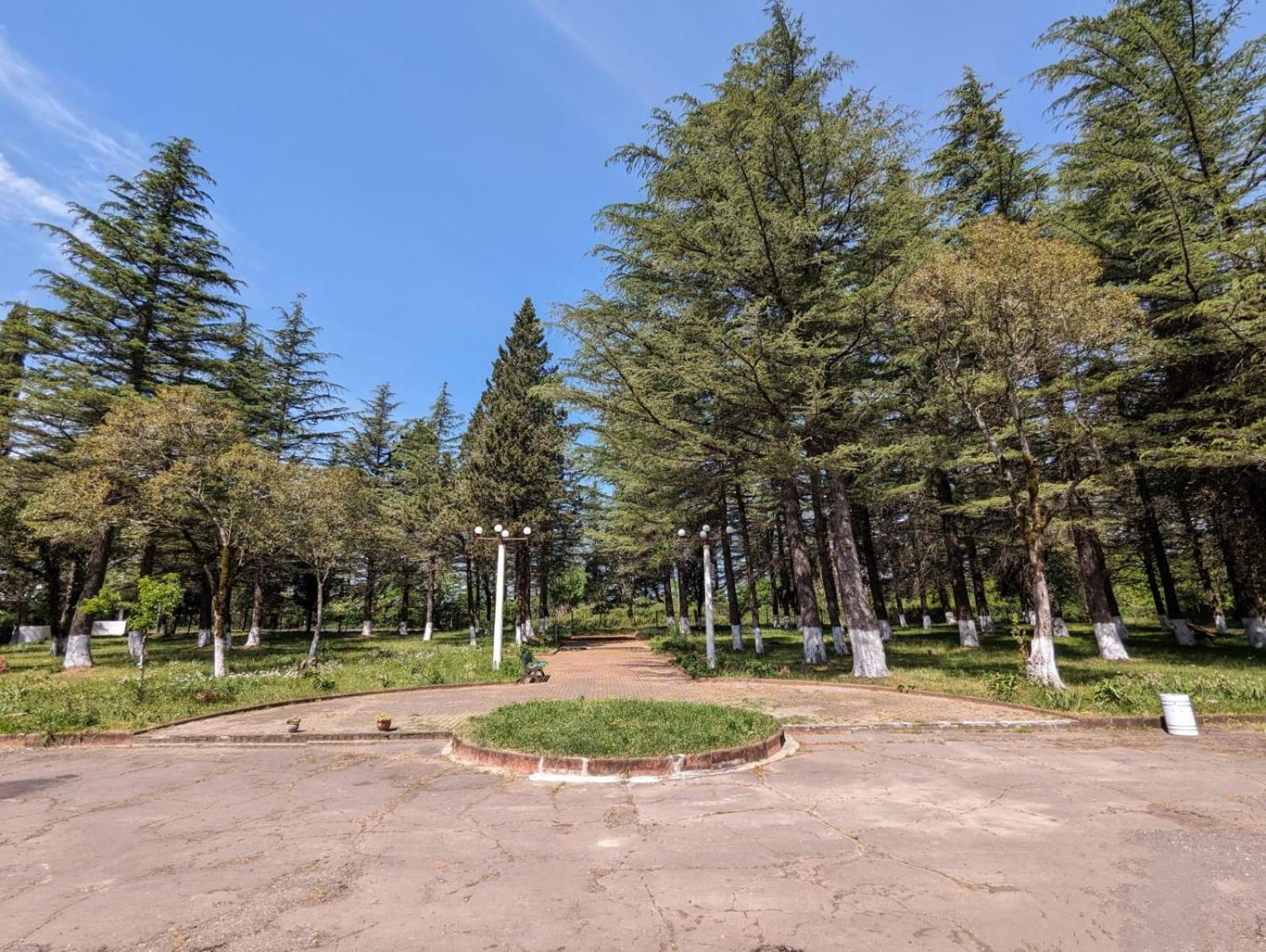 Hotel Tsiskari Ianet'i Zewnętrze zdjęcie